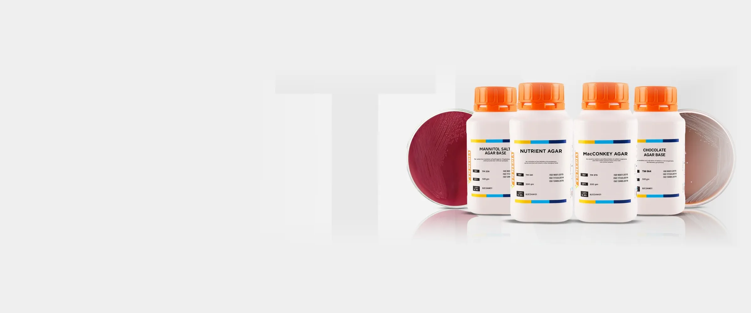 TM Media 건조 배지 병 네 개(Mannitol Salt, Nutrient, MacConkey, Chocolate Agar)와 배양 접시