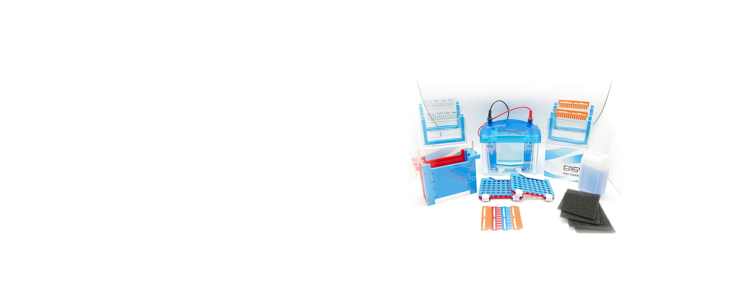 LPS Solution 전기영동 장치와 겔 캐스팅 트레이, 콤, 스펀지 구성품
